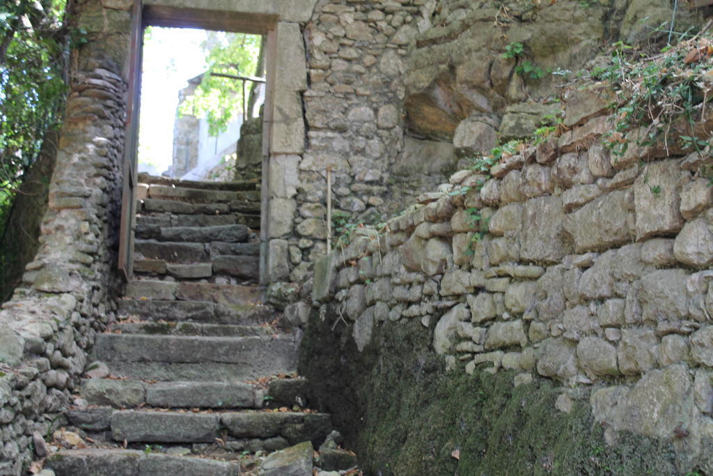 L'Ecrin D'Osely Bed and Breakfast Lodève Exterior foto