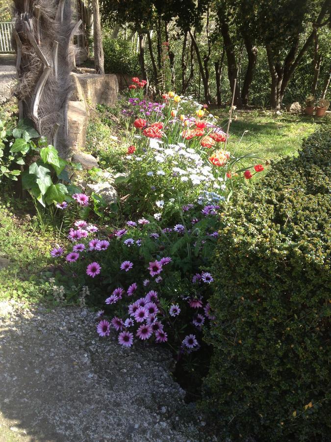 L'Ecrin D'Osely Bed and Breakfast Lodève Exterior foto